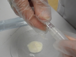 Step 6 - Drug Identification Tests