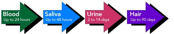 How Long Do Benzodiazepines Stay in Your System?