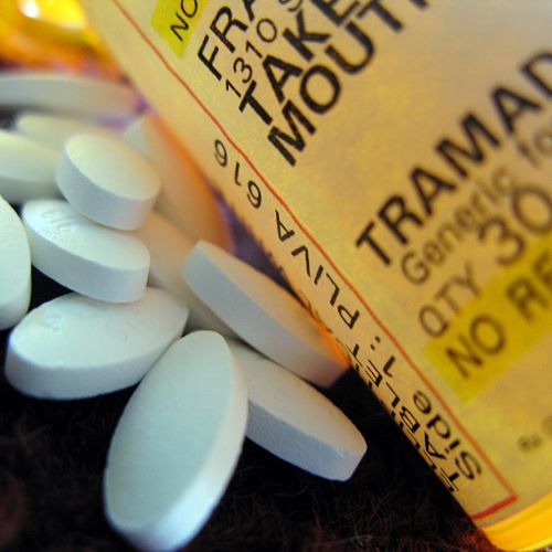 Steep Rise in Opioid Painkiller Overdoses