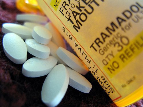 At Home Drug Test >> Steep Rise in Opioid Painkiller Overdoses - Zoom Testing At Home Drug Test >> Steep Rise in Opioid Painkiller Overdoses - Zoom Testing