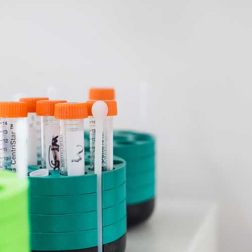 Drug Detection Times in Urine