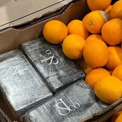 230kgs of Cocaine Found Hidden in Animal Feed and Oranges