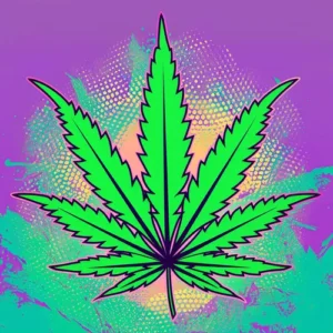 What is Skunk Cannabis?