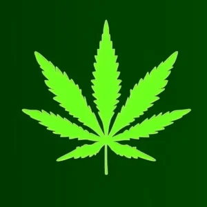 Cannabis Drug Testing