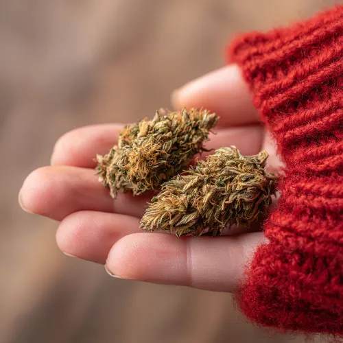 Zoom Testing | UK Drug Testing Weekly | 31 October 2025