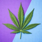 Zoom Testing – UK Drug Testing Weekly – 10 April 2026